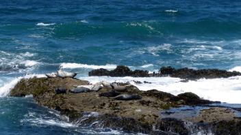 2012 Photos - Mendocino Coast