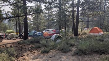 A neighborhood of tents in the Pickel site.