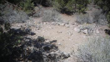 A prehistoric rockring/house at a pinyon camp in the Silver Peak Mountains.