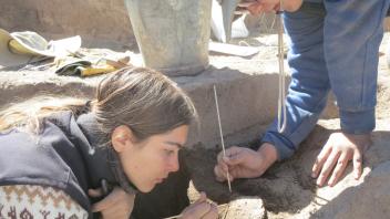 Alex and Esme carefully excavate a features using bamboo skewers.