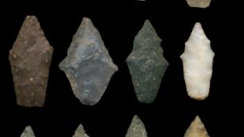 Archaic Period projectile points discovered during survey.