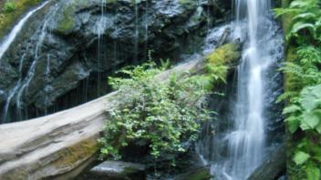 2011 Photos - Mendocino Coast
