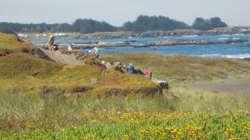 2011 Photos - Mendocino Coast