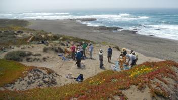 2011 Photos - Mendocino Coast