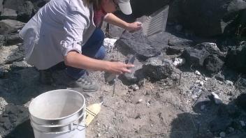 Excavation in prehistoric hunting blind