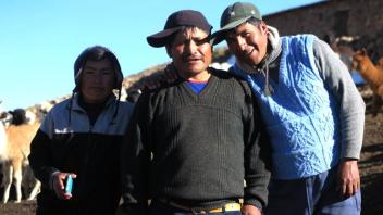 Juan Jose, Javier, and Mateo with the alpacas of Ccoypani