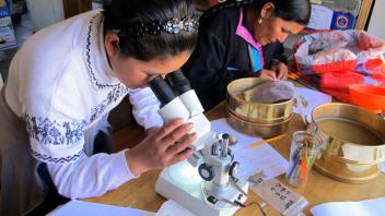 Karen and Virginia examining ancient plant remains in the Collasuyo Archaeological Research Institute lab in Puno.