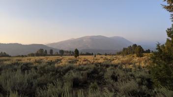 Pickel meadows during golden hours :)