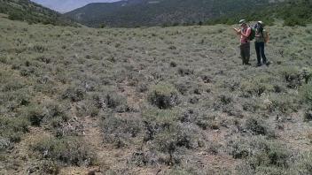 Survey above tree line, Silverpeak Mountains