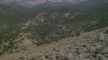 Survey, Piper Peak