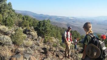 davis mountain