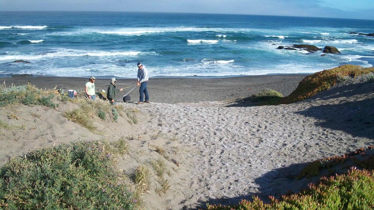 2011 Photos - Mendocino Coast