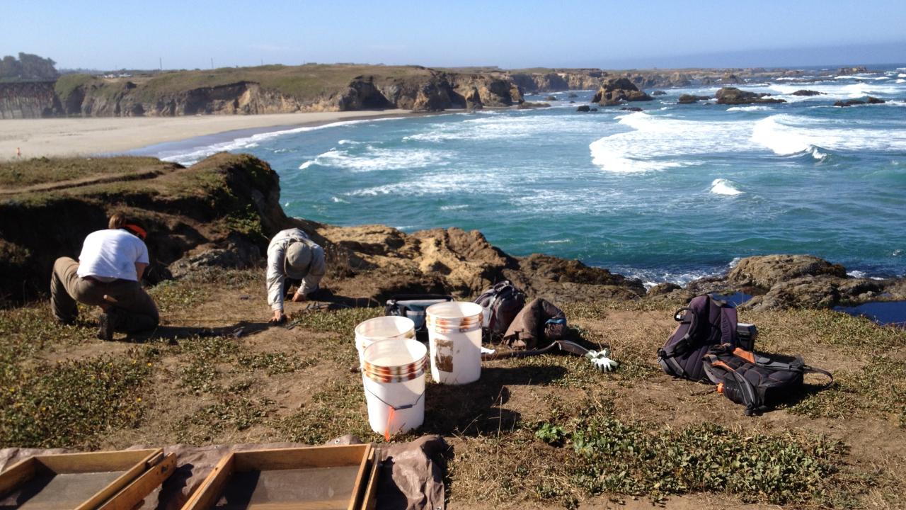 2012 Photos - Mendocino Coast
