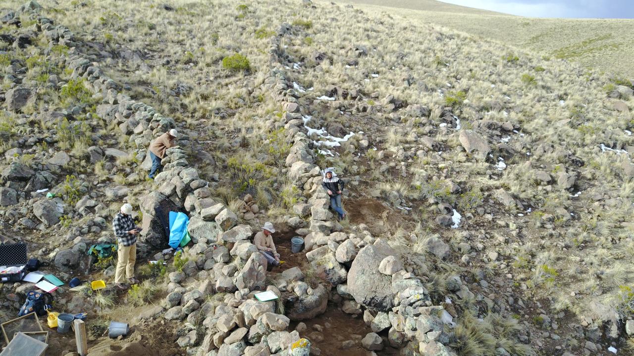Excavation of the ancient animal trap of Ccoypani.