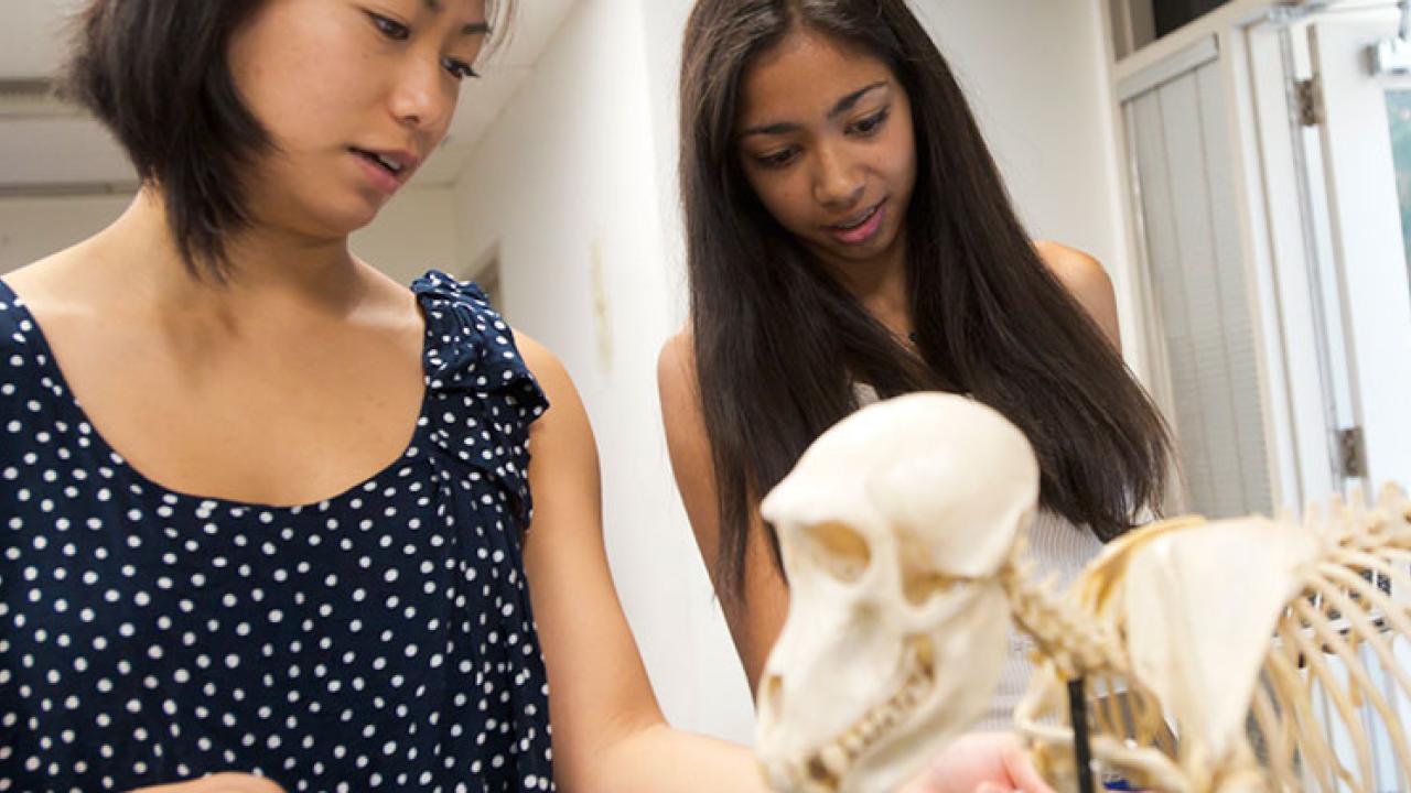 Anthropology Minor Anthropology