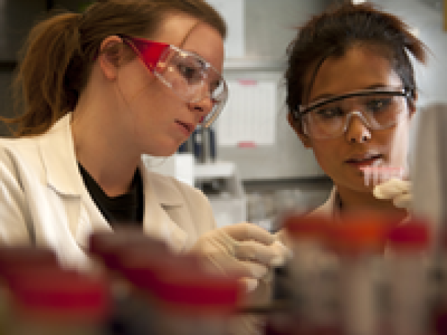 Population Genetics - two people doing lab work