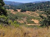 Blue Oaks Ranch Reserve