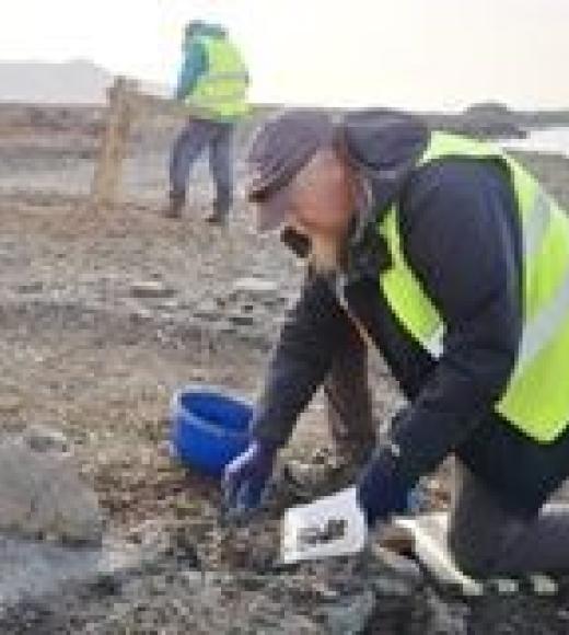 John Darwent collectin research samples