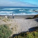 2011 Photos - Mendocino Coast