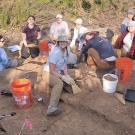 Graduate students