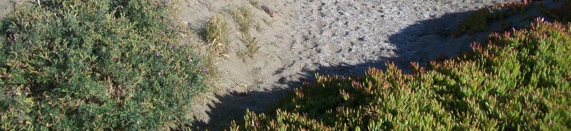 2011 Photos - Mendocino Coast