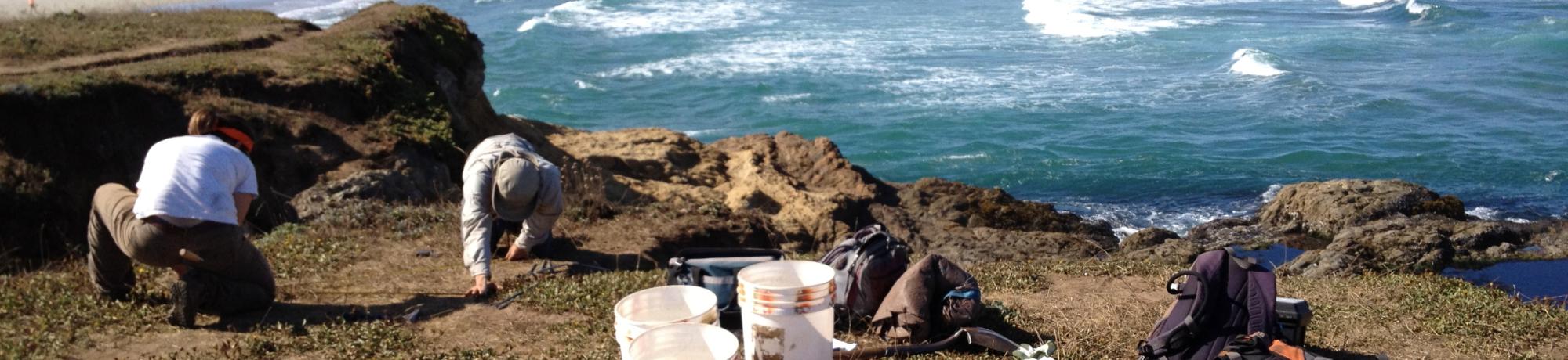 2012 Photos - Mendocino Coast