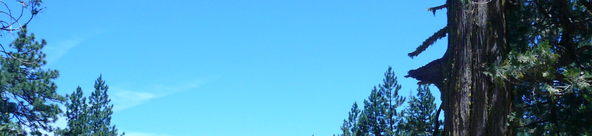2015 Photos - Mendocino National Park and Clear Lake Valley
